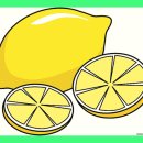 서문사 | 대구가발 서문사 상담 과정과 고객 서비스 만족 후기