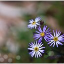 풍경찻집 이미지