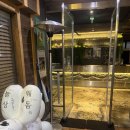 대명프라자 | 일산 분위기 좋은 맛집 <늘상 웨돔>✨ , 공차 신메뉴 흑백밀크티 소금밀크티 솔직 후기 🧂🧋