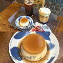 카페 코.코 | 춘천 내돈내산 카페 추천) 신상 카페 코이코히 방문후기