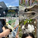 랜스 | 광주 아이와 가볼만한 곳 | 벅스랜스, 패밀리랜드 실내 동물체험 후기