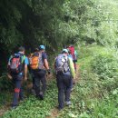 천등산농원 이미지