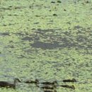 (주)정원팜 이미지