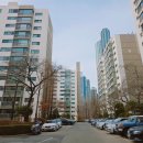 수인약국 | 개포경남아파트 임장 후기 44평 시세 흐름과 단지 장단점 분석