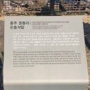 청금로 | 충주의 문화유산 30 - 창동리 약사여래입상과 오층석탑(중앙탑면)