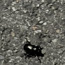 모가당구장 이미지