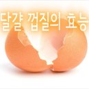 달걀 껍질의 효능 이미지