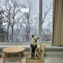 서린춘천