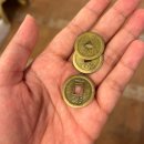 애니멀케어 | 아일랜드 테디베어 소 만나는 곳, 포천 마이애니멀스토리 in 평강랜드 솔직 후기