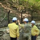 김영일 사무소 이미지