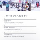 낭만부티크 티스토리