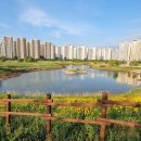 배곧생명공원 이미지