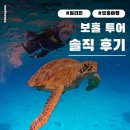 반딧불 | 보홀 투어 종류 정리｜발리카삭 호핑·고래상어·반딧불 솔직 후기