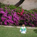 경훈농장 이미지