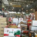 주니청과 이미지