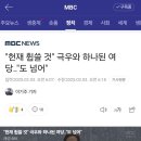 &#34;헌재 휩쓸 것&#34; 극우와 하나된 여당‥&#34;도 넘어&#34; 이미지