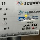 인천세란성형외과의원 | 인천 성형외과 슈링크 시술 생각보다 안 아파요! (후기)