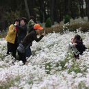 진도지산중학교 이미지