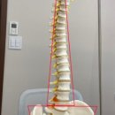 경희튼튼본한의원 이미지