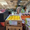 한농상사 이미지