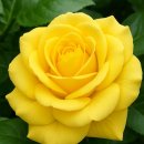 12월 5일 금요일 간추린 뉴스와 날씨 이미지