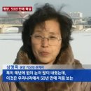 거북이자동차나라