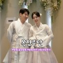 부림사 | 결혼식 혼주한복부터 신랑신부 대여까지 한 번에 해결 창원 부림시장 옥진주단 후기