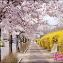 사리울삼거리 이미지