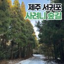 남조로 사려니숲길입구 | 겨울 사려니 숲길 트레킹 : 야생 고라니와의 조우