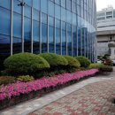 아이스퀘어몰 아이스퀘어 호텔 앞 이미지