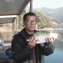 하천리 Daum카페
