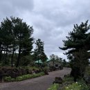 옥 태양광발전소 이미지