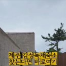 실론제주 이미지