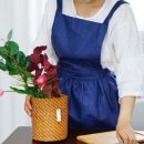 비다