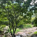 달빛 계곡 캠핑장 이미지