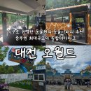신화종합정비 | 늑구로 유명해진 대전 오월드 재개장 정보 및 동물원 아프리카 사파리 꿀팁