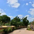 한잔먹세 이미지