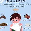 PICA PICA 이미지