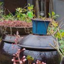 고운이네 한옥민박 이미지