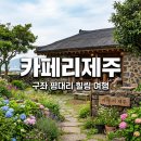 일상의 쉼표 | 제주 구좌 평대리 카페리제주 아기자기한 감성 맛집 추천