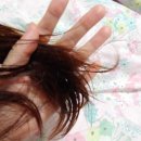 상아헤어필 | 노워시 헤어필 트리트먼트 후기