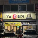 창동꿀돼지 이미지