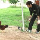 신화종합기술 이미지