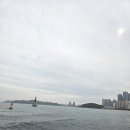 한일공인 행정사사무소 이미지