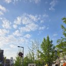 GS25 홍대동교점 | 서울 가볼만한곳 정동길 연남동 데이트 핫플 연트럴파크