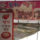 탑골농장 2농장 이미지