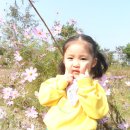 곤명생태학습장 이미지