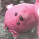 삿뽀로 참치 우동집 이미지