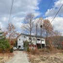 카페 슬루프(cafe sloop) 이미지