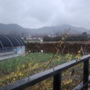 달마고도민박 이미지